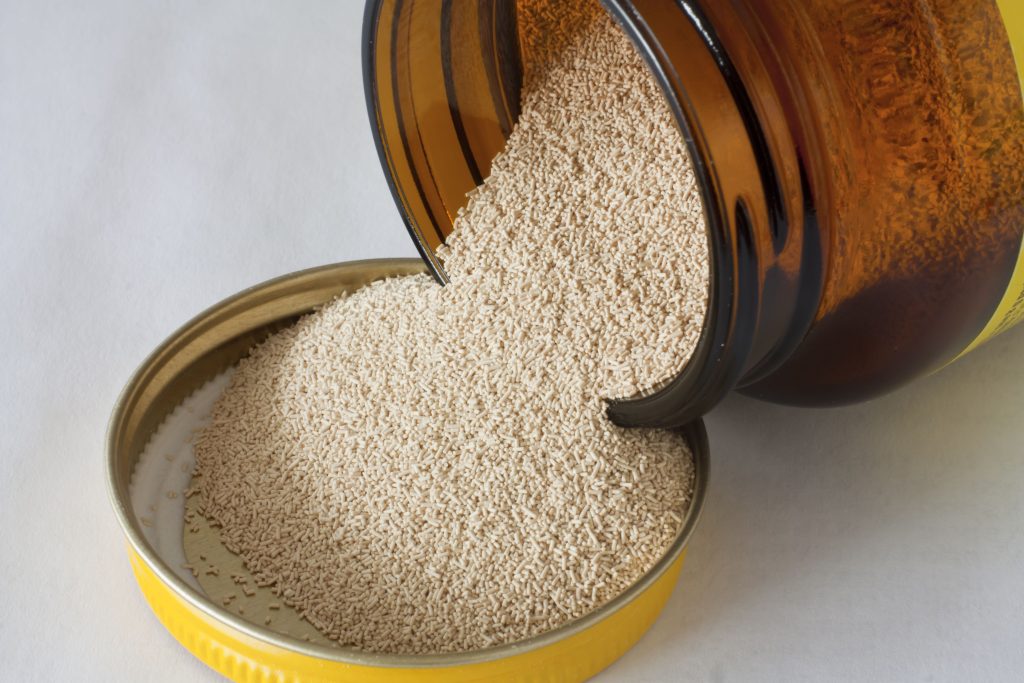 The Different Types of Yeast in Baking and Their Purposes Yeast